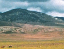 Tejon Ranch